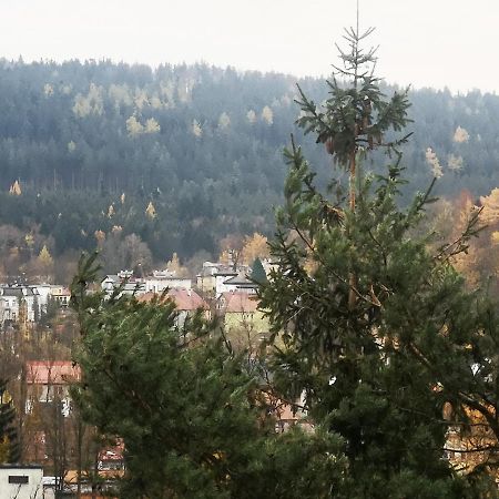 Irysek Apartment Ladek-Zdroj Luaran gambar