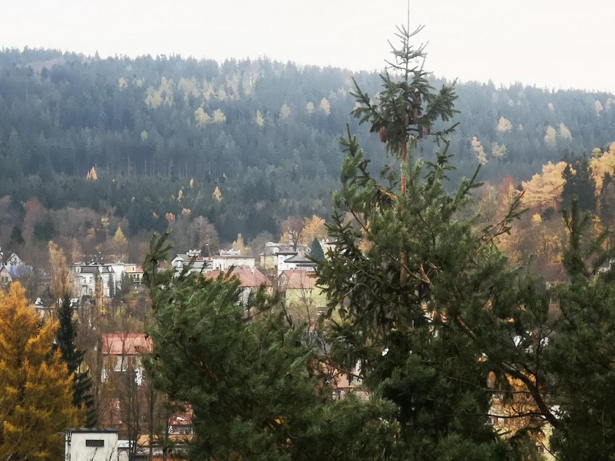 Irysek Apartment Ladek-Zdroj Luaran gambar